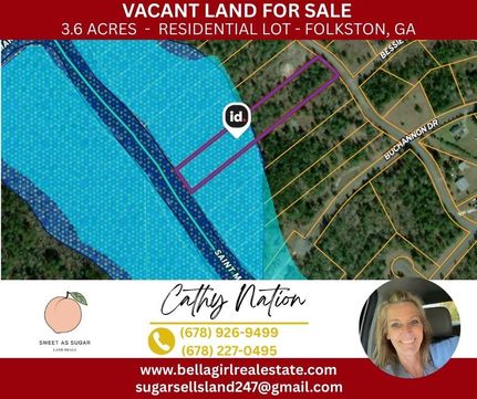 Waterfront Property for sale in Charlton County, Georgia