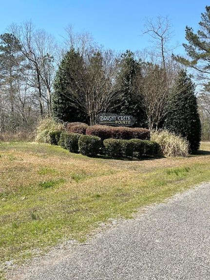 Undeveloped Land for sale in Winston County, Alabama