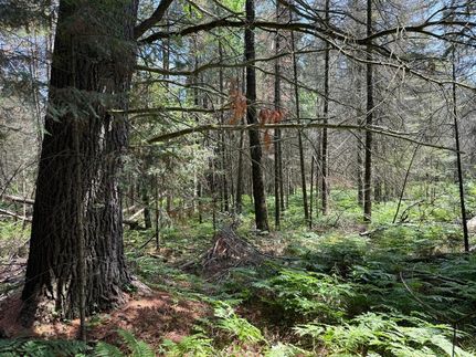 Ranch Property for sale in Oneida County, Wisconsin