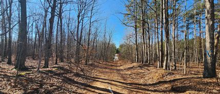 Timberland Property for sale in Charlotte County, Virginia