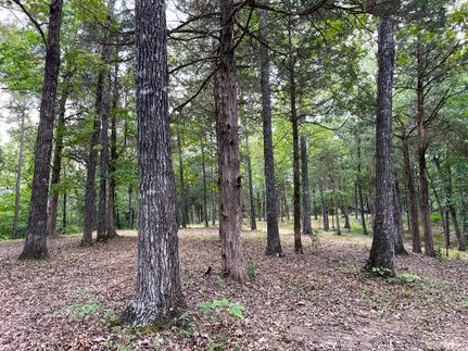 Farm Property for sale in Fayette County, Tennessee