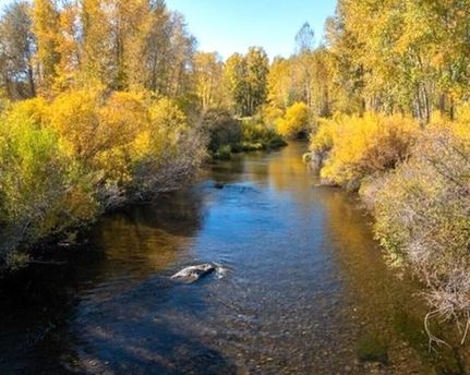 Waterfront Property for sale in Trinity County, California