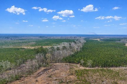 Ranch Property for sale in Tattnall County, Georgia