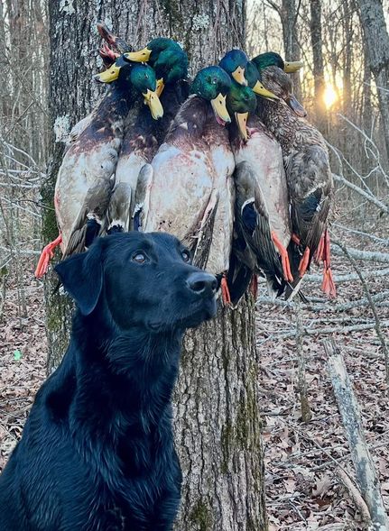 Horse Property for sale in Woodruff County, Arkansas