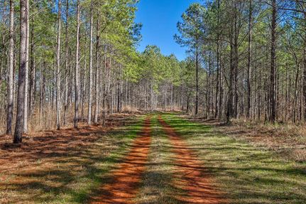 Timberland Property for sale in Monroe County, Georgia