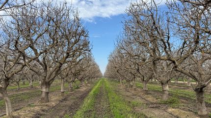 Farm Property for sale in Tulare County, California