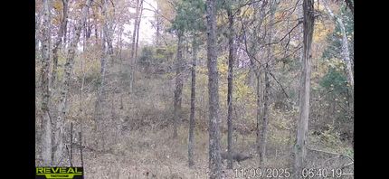 Ranch Property for sale in Pope County, Illinois