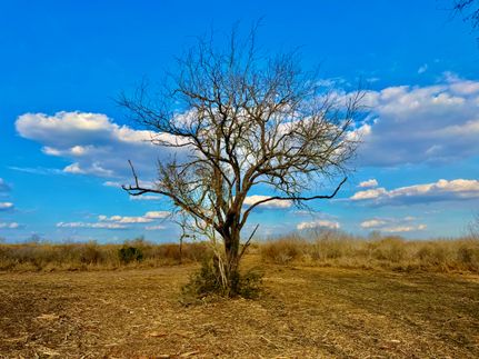 Ranch Property for sale in Duval County, Texas