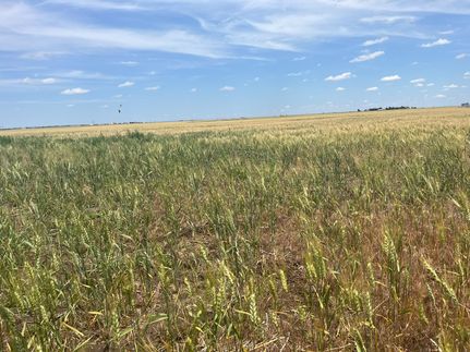 Property for sale in Texas County, Oklahoma