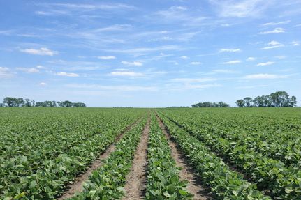 Property for sale in Miner County, South Dakota