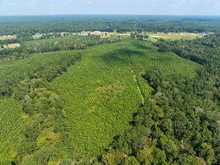 Farm Property for sale in Sabine County, Texas