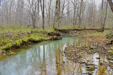 Ranch Property for sale in Livingston County, Kentucky