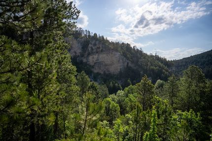 Timberland Property for sale in Lawrence County, South Dakota