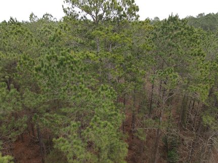 Property for sale in Union County, Arkansas