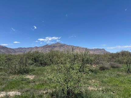 Undeveloped Land for sale in Cochise County, Arizona