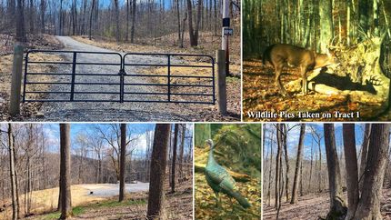 Recreational Property for sale in Pike County, Ohio