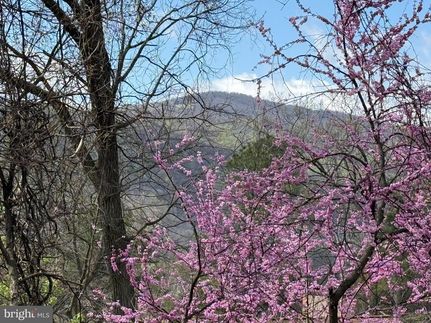 Property for sale in Warren County, Virginia