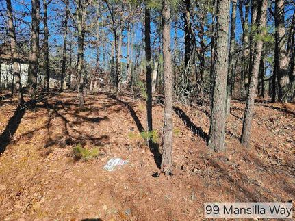 Undeveloped Land for sale in Garland County, Arkansas