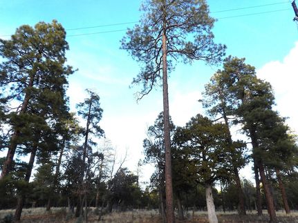 Recreational Property for sale in Coconino County, Arizona