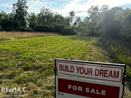 Undeveloped Land for sale in Sanilac County, Michigan