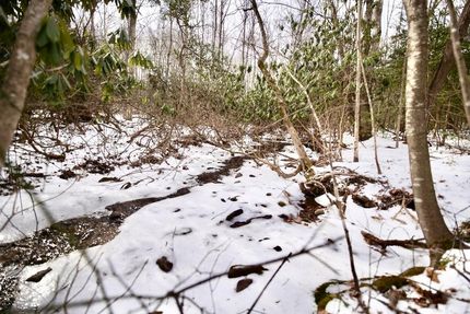 Farm Property for sale in Carroll County, Virginia