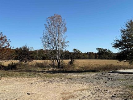 Undeveloped Land for sale in Randolph County, Arkansas