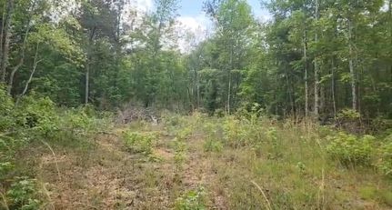 Recreational Property for sale in Franklin County, Alabama