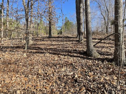 Farm Property for sale in Stewart County, Tennessee