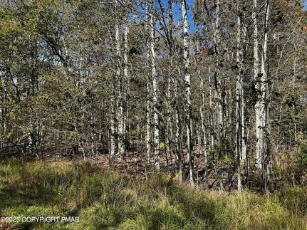 Ranch Property for sale in Monroe County, Pennsylvania