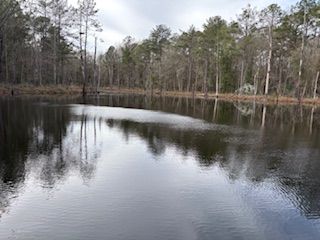 Farm Property for sale in Jones County, Mississippi