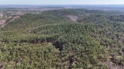 Undeveloped Land for sale in Calhoun County, Mississippi