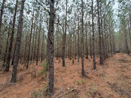 Ranch Property for sale in Chesterfield County, South Carolina