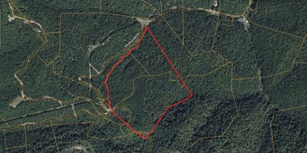 Undeveloped Land for sale in Wayne County, West Virginia