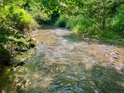 Undeveloped Land for sale in Beaver County, Pennsylvania