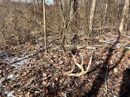 Undeveloped Land for sale in Washington County, Pennsylvania