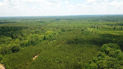 Timberland Property for sale in Lamar County, Alabama