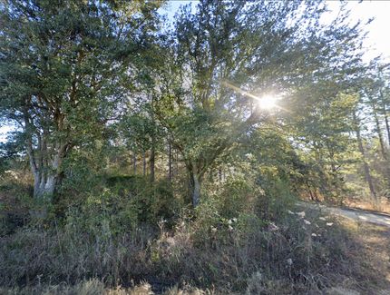 Farm Property for sale in Worth County, Georgia