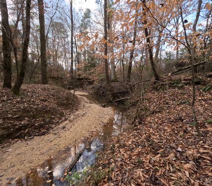 Undeveloped Land for sale in Simpson County, Mississippi