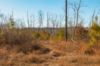 Farm Property for sale in Houston County, Tennessee