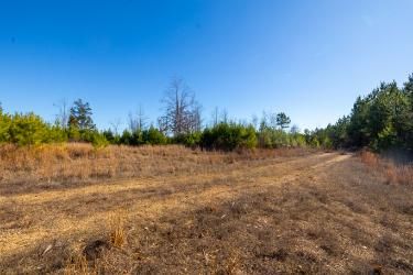 Farm Property for sale in Houston County, Tennessee