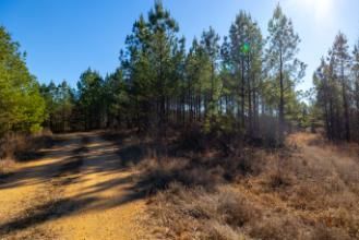 Residential Property for sale in Houston County, Tennessee