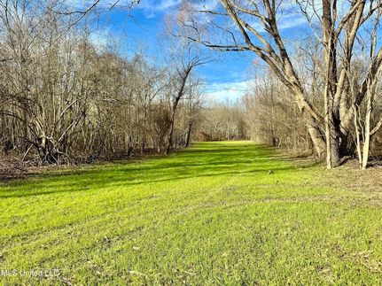 Undeveloped Land for sale in Sharkey County, Mississippi