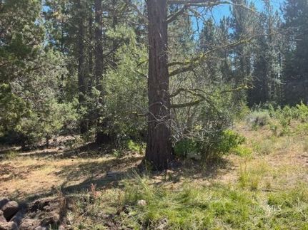 Farm Property for sale in Lassen County, California