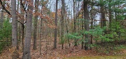 Undeveloped Land for sale in Sullivan County, New York