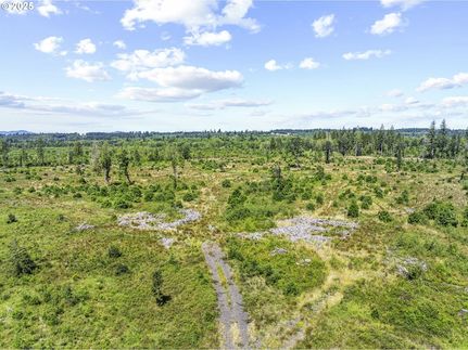 Undeveloped Land for sale in Lewis County, Washington