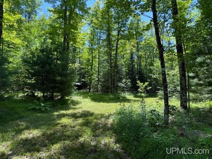 Ranch Property for sale in Iron County, Michigan
