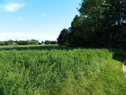 Ranch Property for sale in Chippewa County, Minnesota