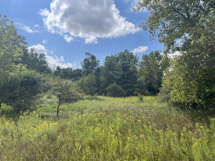 Undeveloped Land for sale in Montcalm County, Michigan
