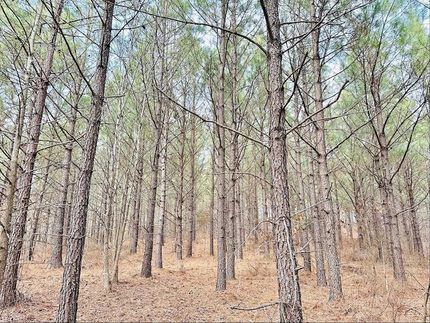 Ranch Property for sale in Stewart County, Tennessee