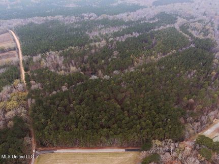Undeveloped Land for sale in Choctaw County, Mississippi